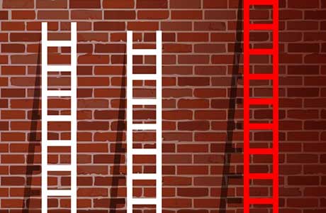 Fatal fall from height leads to ladder warning | Project Plant