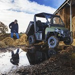 Coming up Roses 69a_0414