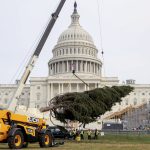 Capitol gains for JCB Loadall