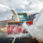 Variety is the spice of life