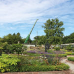 Crane lift assists walled garden work
