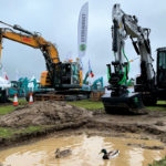 Ducks Plantworx