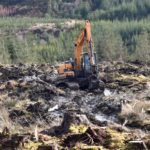 High-walkers rise to demanding forestry challenge