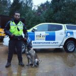 Guard dogs join fight against crane climbers