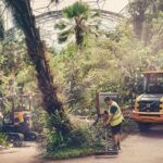Volvo’s electric offering impresses during Eden Project collaboration