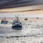 Cat marine solutions to be showcased at Aberdeen expo