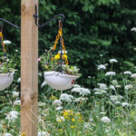 Hire specialist launches Nature Positive Roadmap 2030