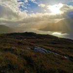 Record year for Scotland’s peatland restoration projects