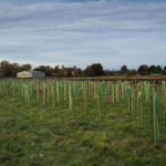 Tsurumi Pumps UK ramps up sustainability focus with new carbon reduction scheme Tsurumi Pumps tree planting