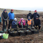 Speedy Hire and Sisk team up on peatland restoration initiative Speedy Hire and Sisk peatland restoration volunteering