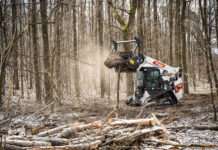 Bobcat attachment portfolio shows variety is the spice of life Bobcat forestry cutter
