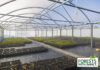 Sunbelt Rentals supports prison rehabilitation ambitions with tree nursery funding Polytunnel