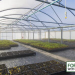 Sunbelt Rentals supports prison rehabilitation ambitions with tree nursery funding Polytunnel