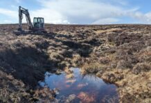 Project complete to restore 273 hectares of peatland in Dunblane